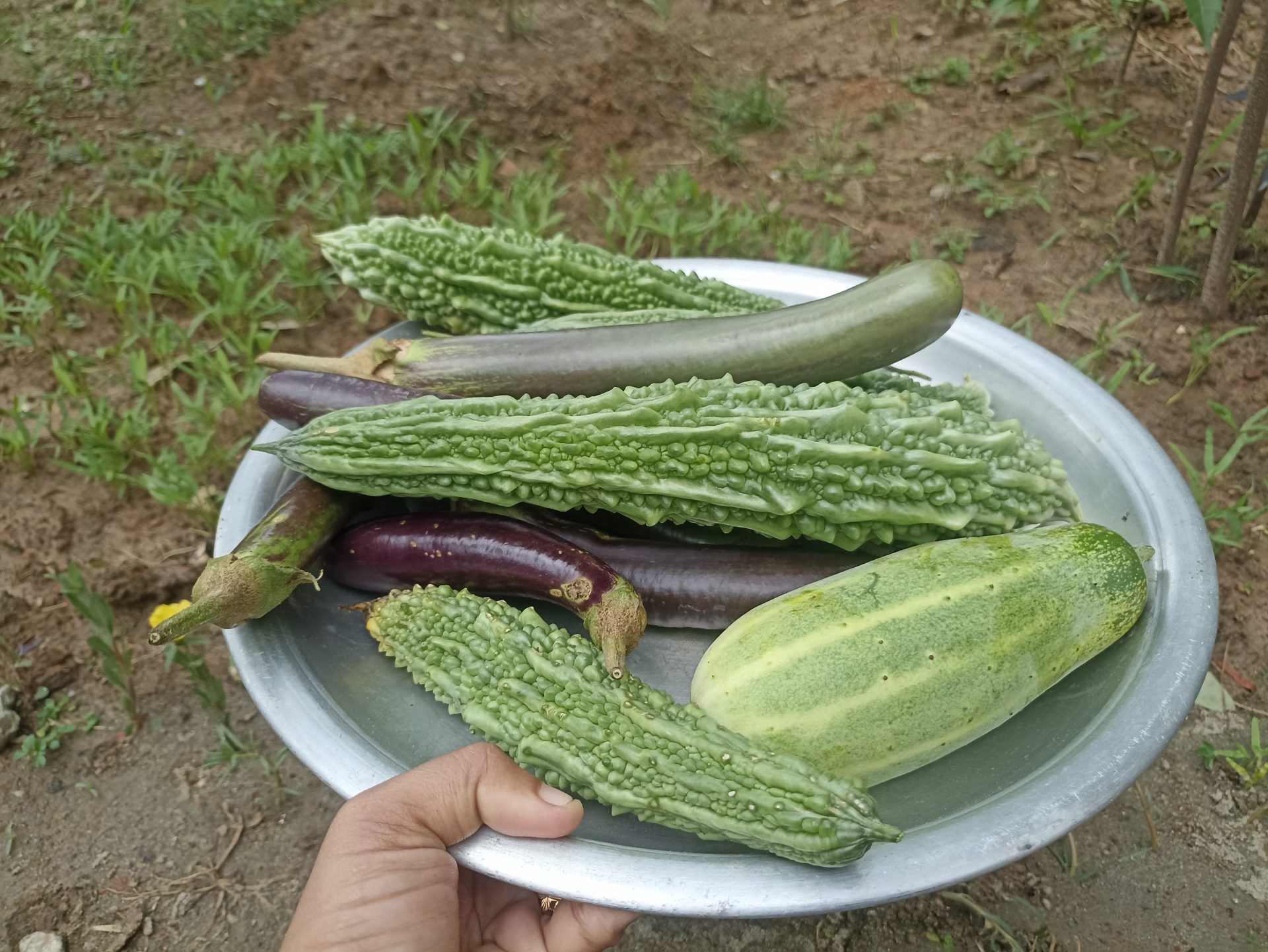 Post image 1