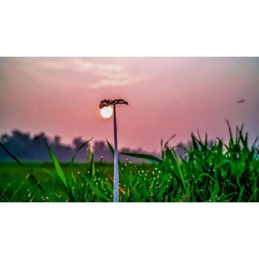 Kamrul Islam